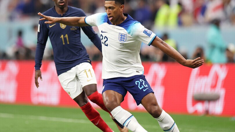 Alla ricerca dei Bellingham