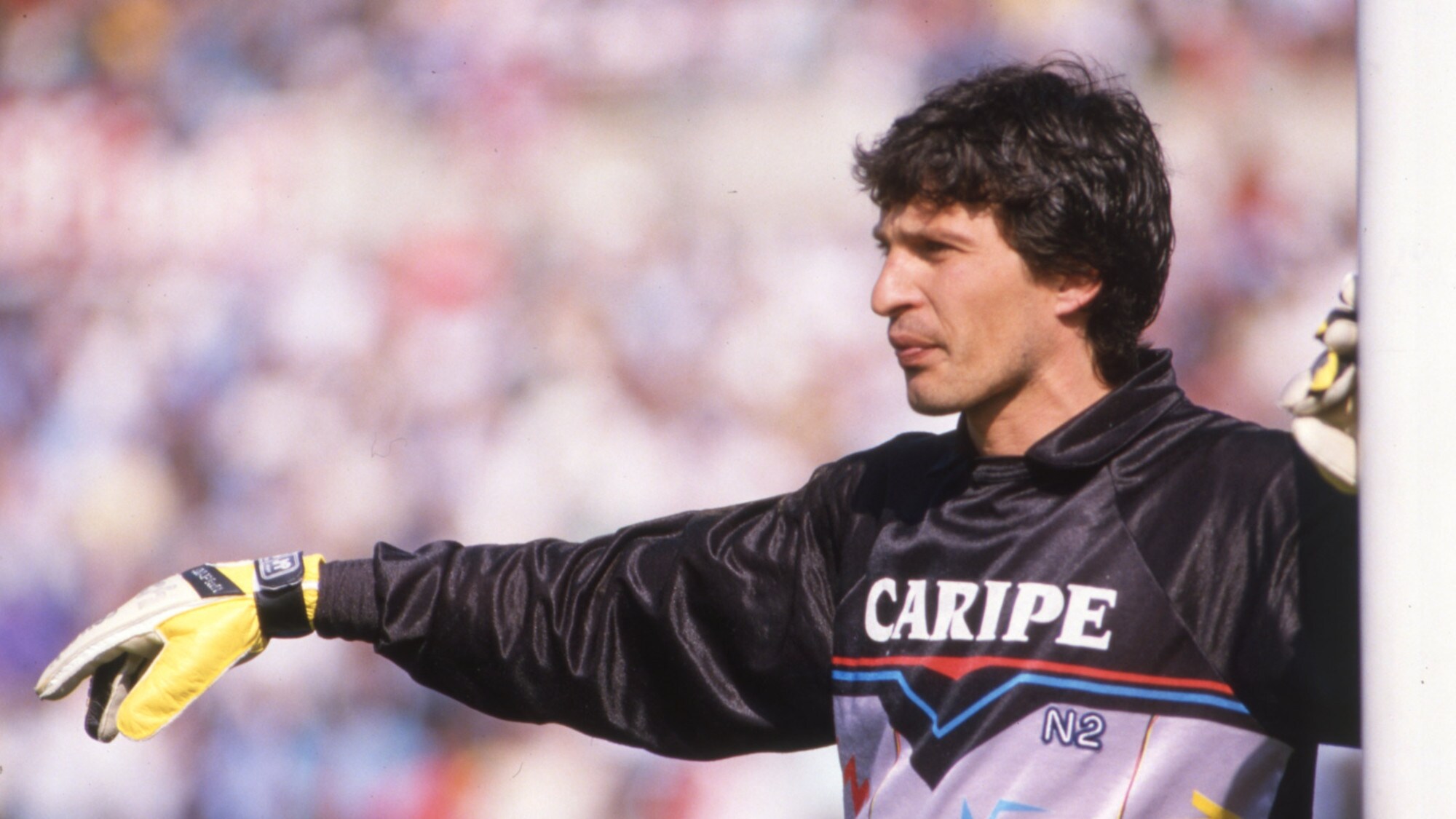 Giuseppe Zinetti, gli inizi a Bologna e la seconda giovinezza a Roma