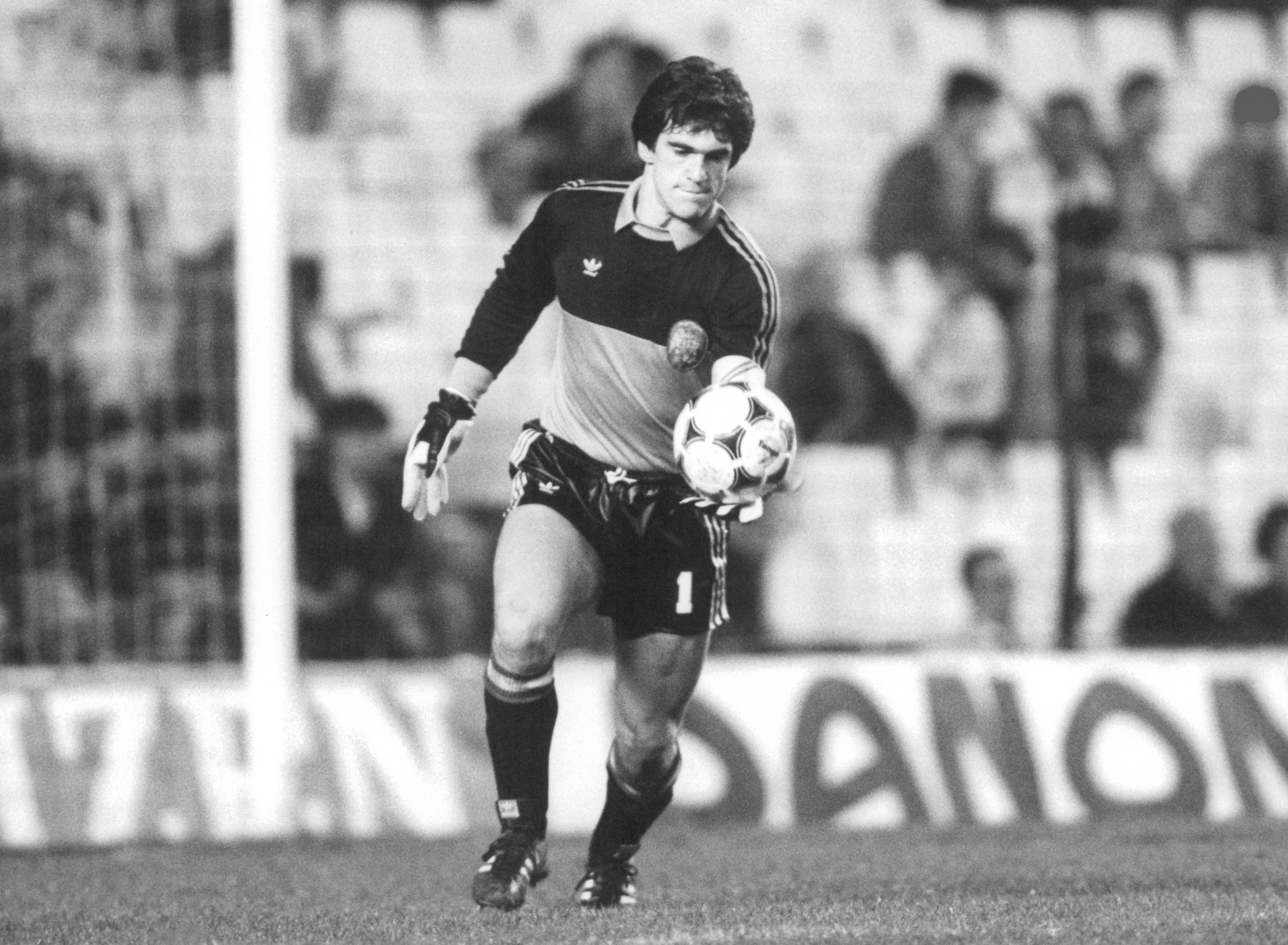 Arconada: El Pulpo e la papera in Francia-Spagna