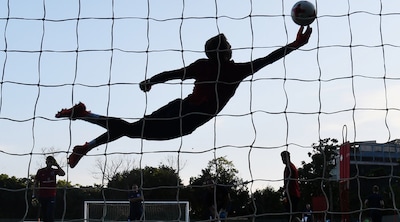 L'anno della nuova Inghilterra