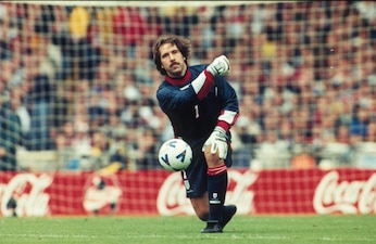 David Seaman, croce e delizia tra i pali