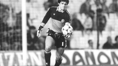 Arconada: El Pulpo e la papera in Francia-Spagna