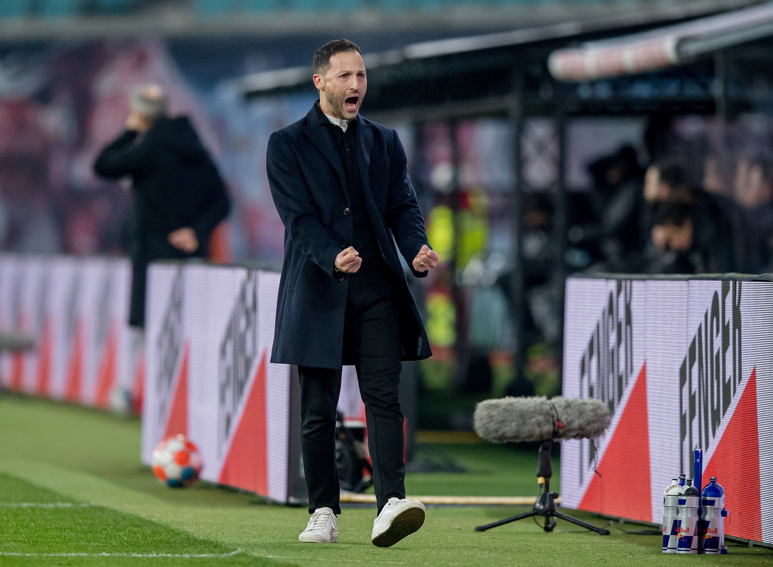 Dopo Italiano, un Tedesco per il Bologna