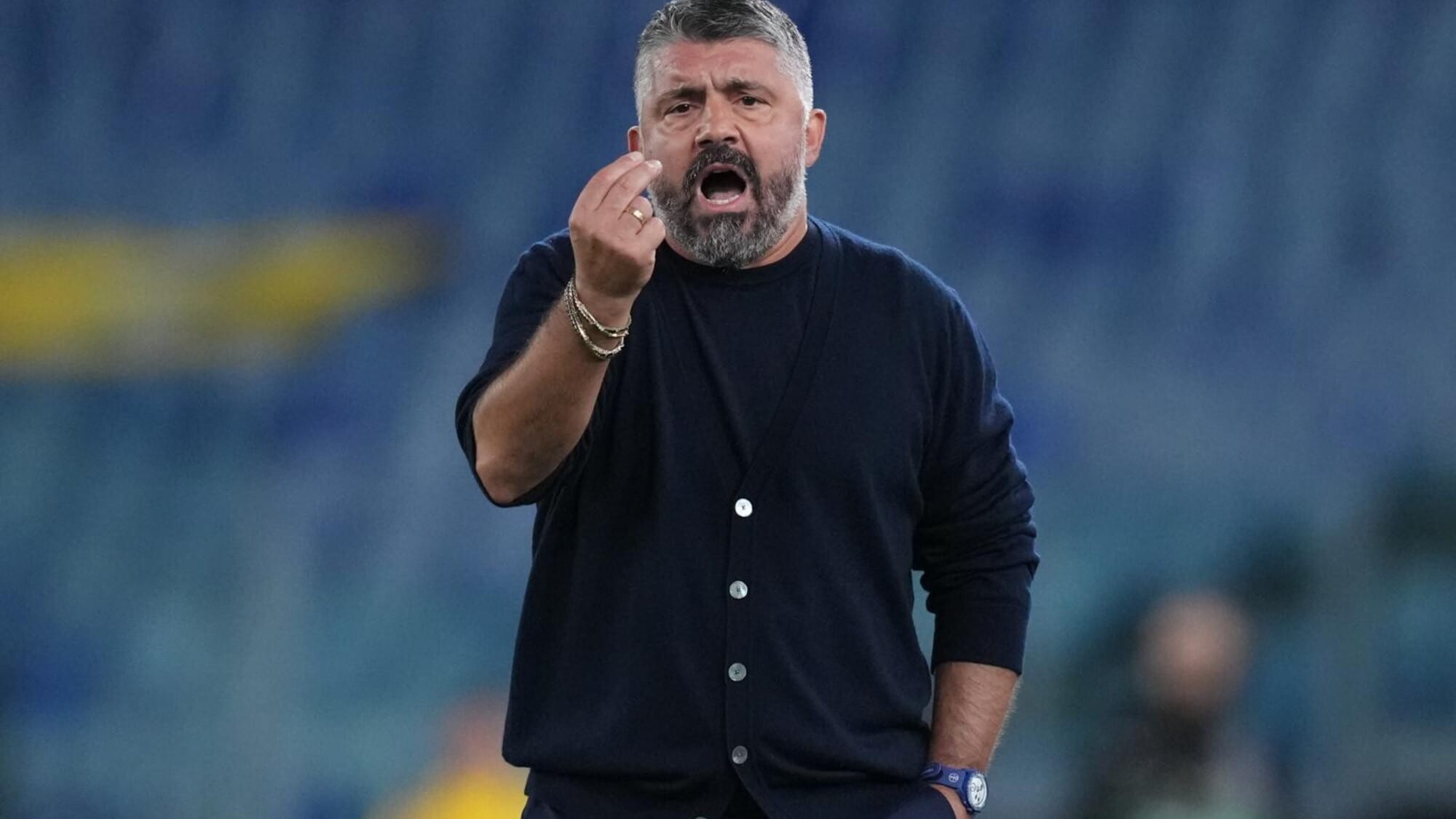 Gattuso nel deserto
