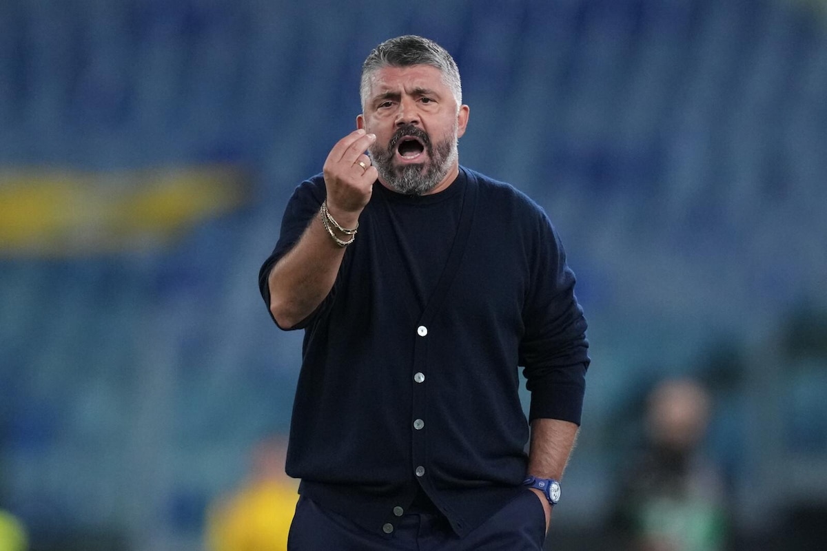 Gattuso nel deserto